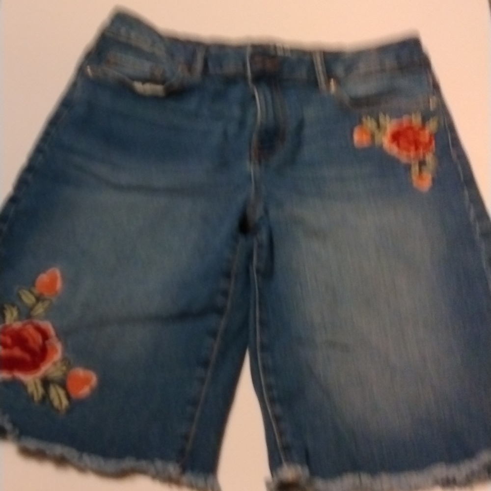 Cute Embroidered shorts